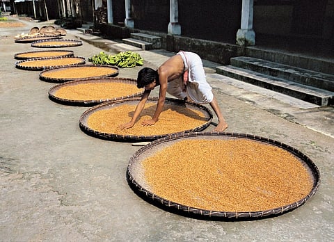 Making of Mishing rice beer