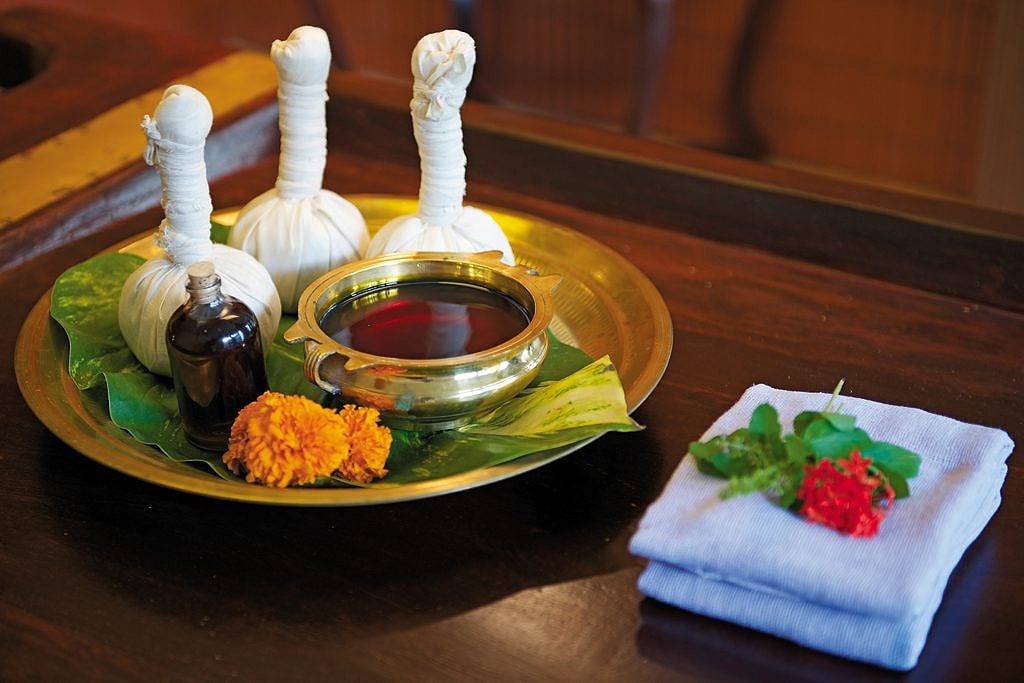 The export of quality Ayurveda products would benefit farmers engaged in cultivating medicinal herbs