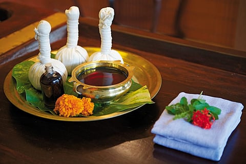 The export of quality Ayurveda products would benefit farmers engaged in cultivating medicinal herbs