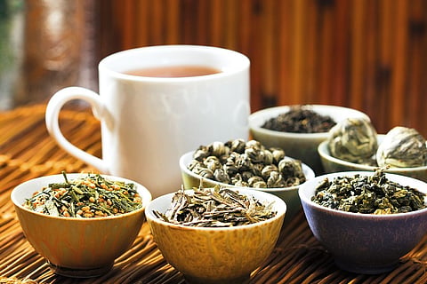 Indulge in a tea tasting in Kerala