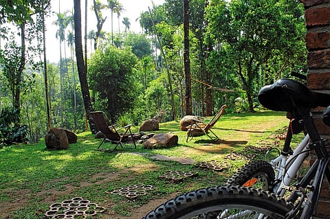 Easy chairs and sprawling gardens offer an inviting sun basking experience