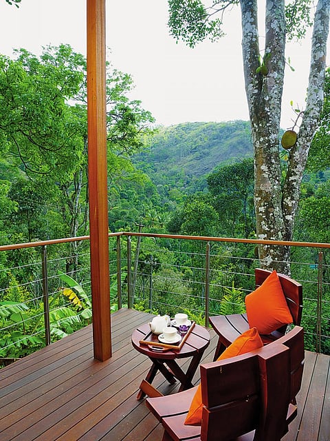 Quaint design of the Niraamaya Retreat nearly camouflaged it into the hills around