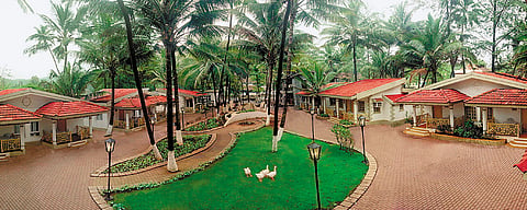 Golden Swan Beach Resort in Murud