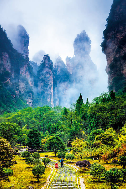 Zhangjiajie National Park is famous as Avatar Floating Mountains