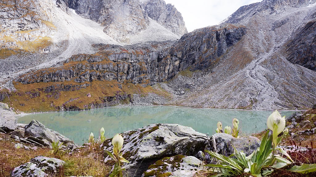 The hidden emerald jewel—Kagbhusandi Tal