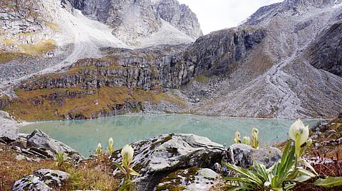 The hidden emerald jewel—Kagbhusandi Tal