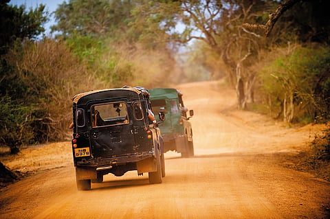 Safari jeeps blowing up dust on red mud tracks