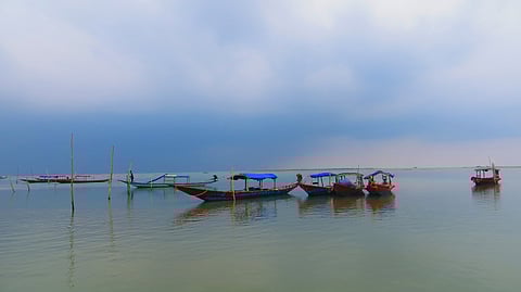 Chilika Lake is an endangered habitat needing protection