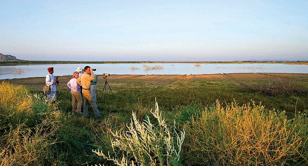 Go birding in Rajasthan