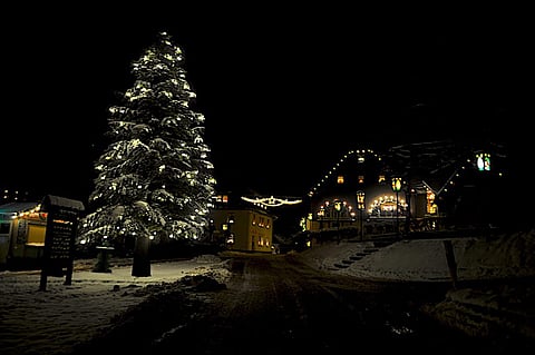 A spruce tree covered in snow in Seiffen, a few steps before the church