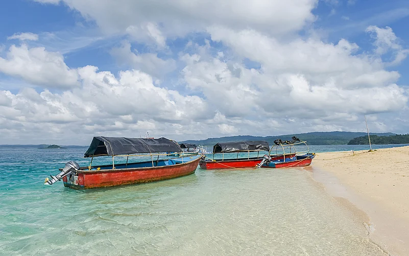 You can take a ferry to the many islands on which the sanctuaries are located