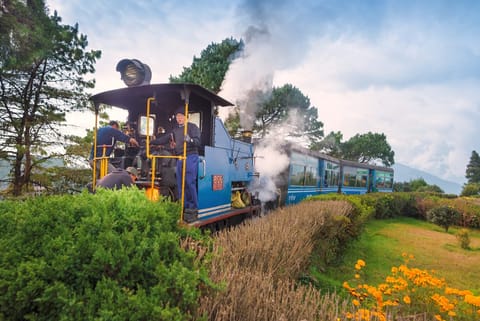 The Darjeeling Toy Train is a must-do experience