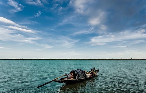 Tides play an important role in the Sunderband and large areas go under water for several hours when the water rises 