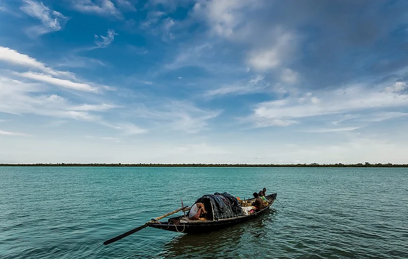 Tides play an important role in the Sunderband and large areas go under water for several hours when the water rises