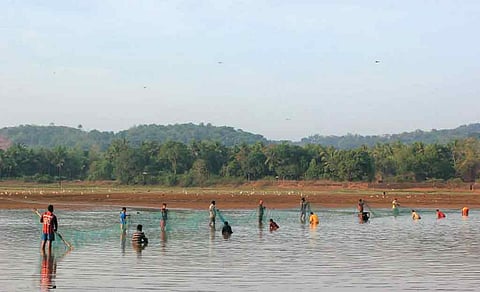 Zuari river