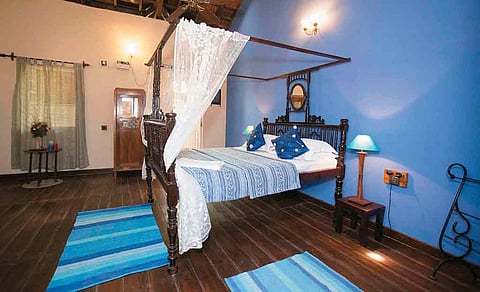 Indigo room