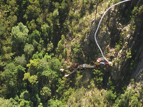 Go bungee jumping at the Bloukrans