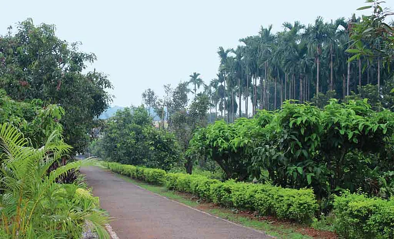 The roads in Sindhudurg are lush with greenery
