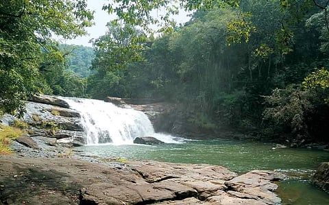 Thommankuthu waterfall