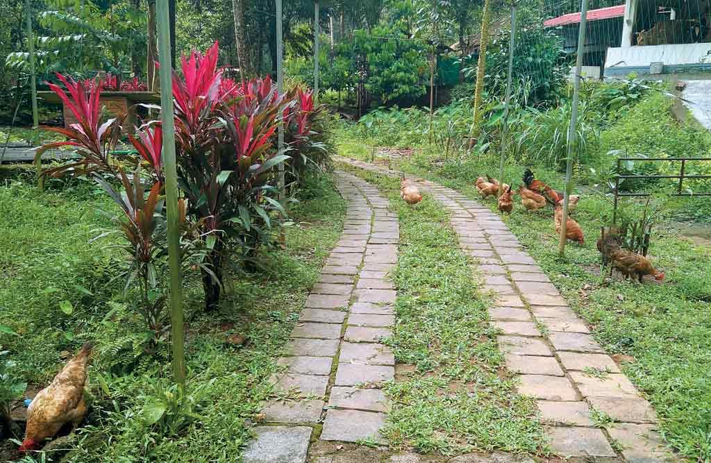 Walking trail on the property