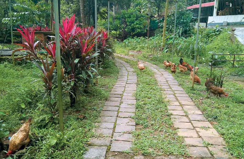 Walking trail on the property