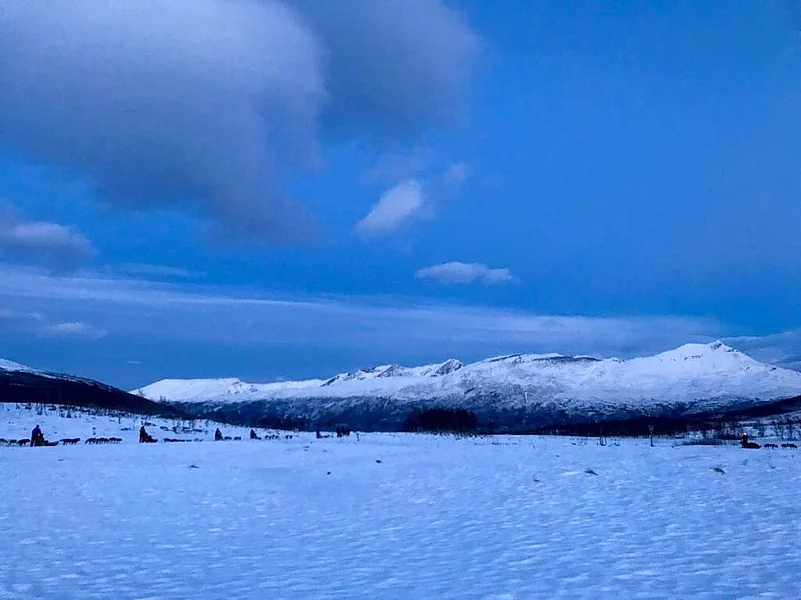 Enjoy polar adventures