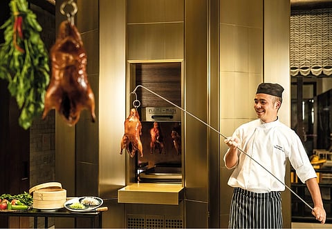 Indulge in gourmet cuisine