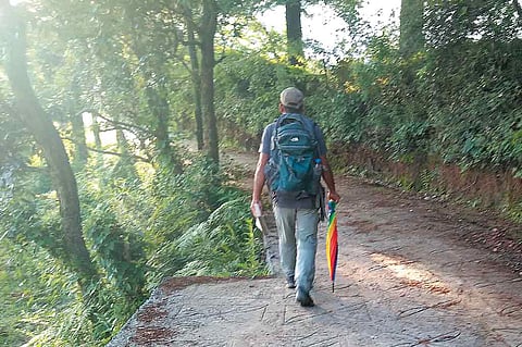 A walking path