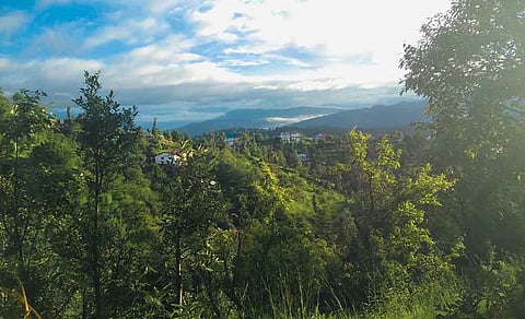 A stunning view