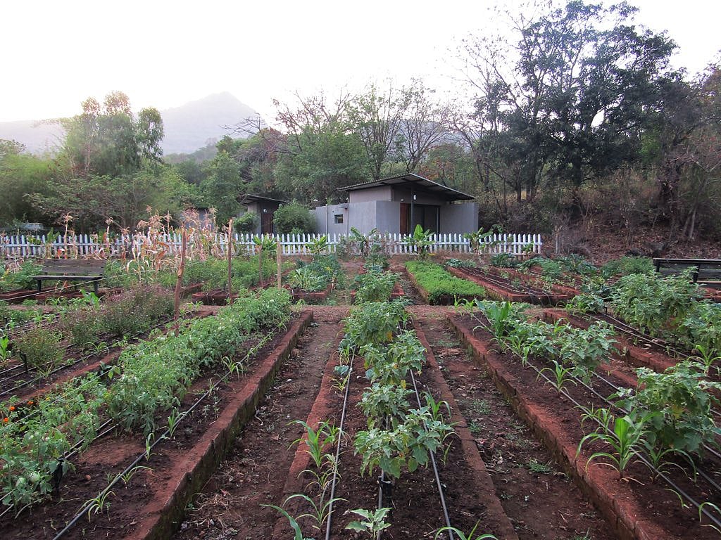 Farming grounds within the property at Hilton Shillim