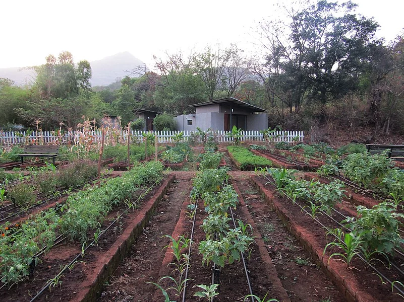 Farming grounds within the property at Hilton Shillim