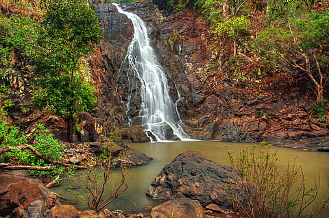 Similipal is one of the most picturesque tiger reserves of India