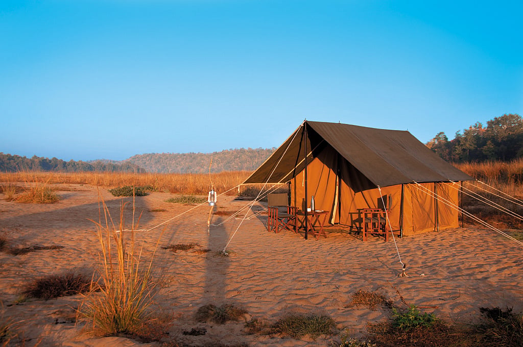 Satpura Under Canvas is a unique mobile camping and walking expedition through the Satpura forests