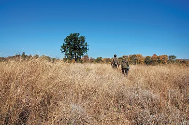 Pugdundee Safaris : Embark on a thrilling walking safari with trained guides