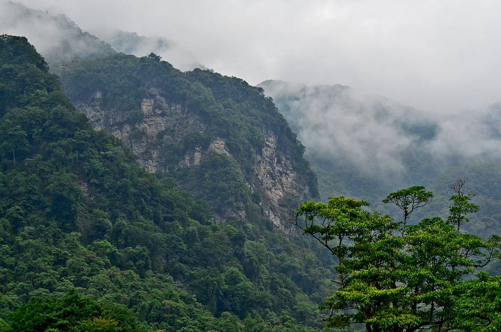 Amid it all, there stood a deeply forested hill with a face on it according to legends