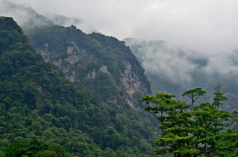 Amid it all, there stood a deeply forested hill with a face on it according to legends