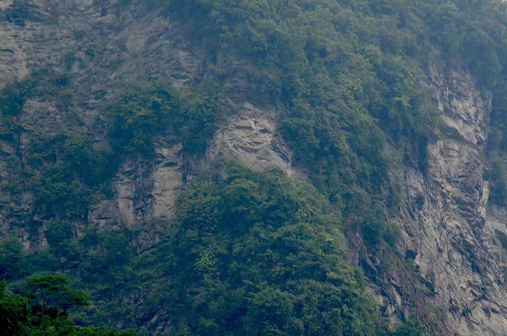 A close-up of Chiikhie-U