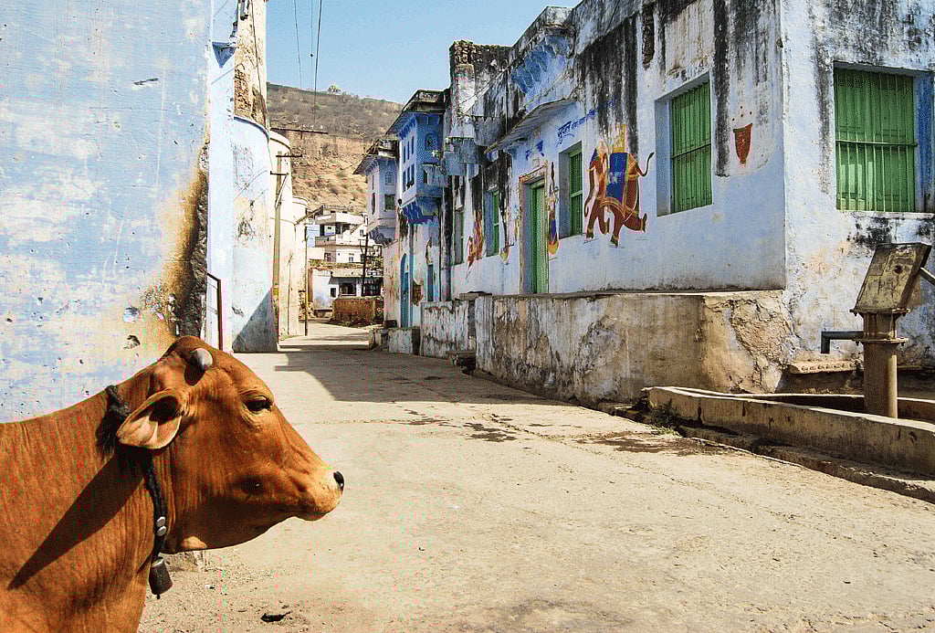Be careful of the ambling cows or the occasional bull while on the streets of Bundi