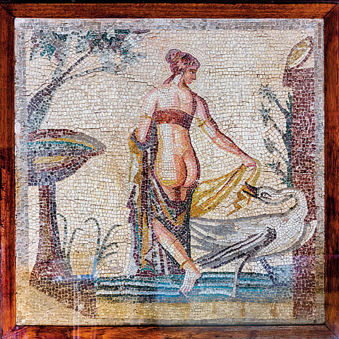 Roman aphrodite mosaic of Leda and Swan