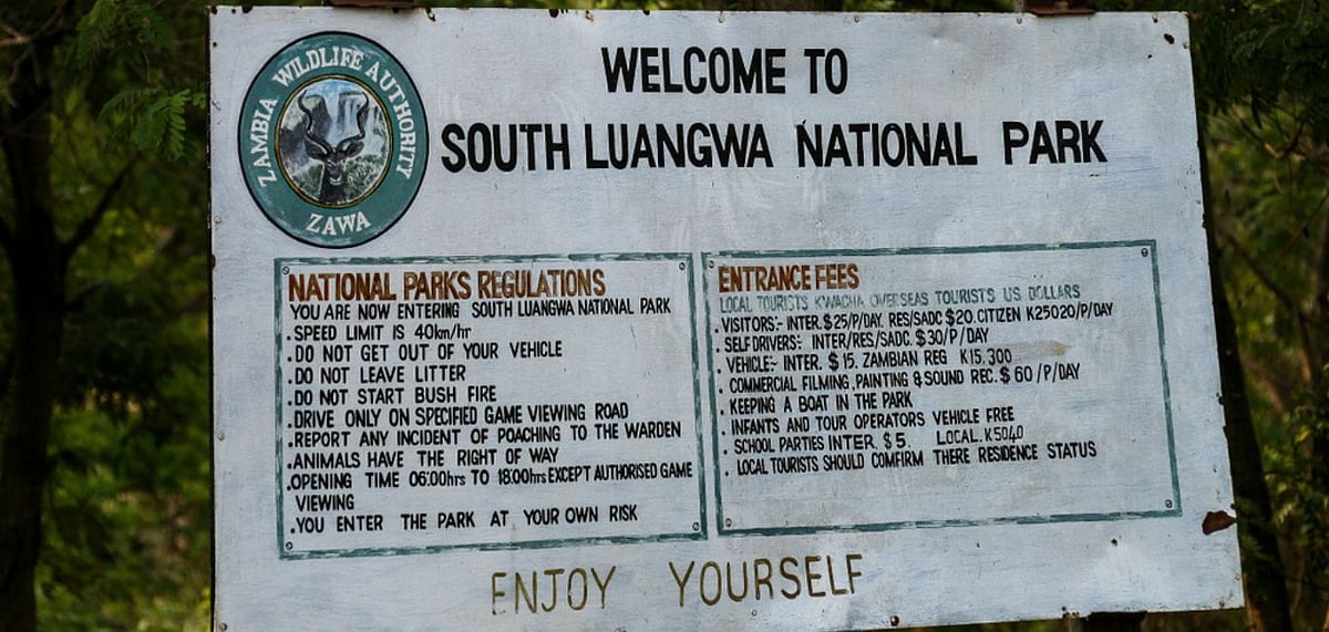 South Luangwa has a high concentration of leopards