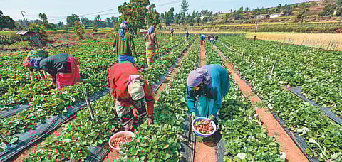 Choose smaller, independently-owned lodgings