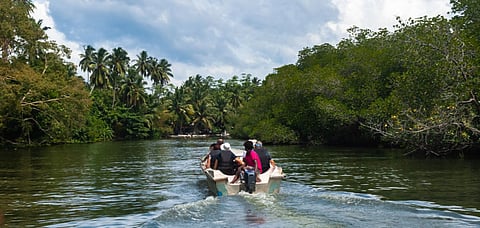 The Turtle Hatchery works to preserve and safeguard the eggs from predators and other perils