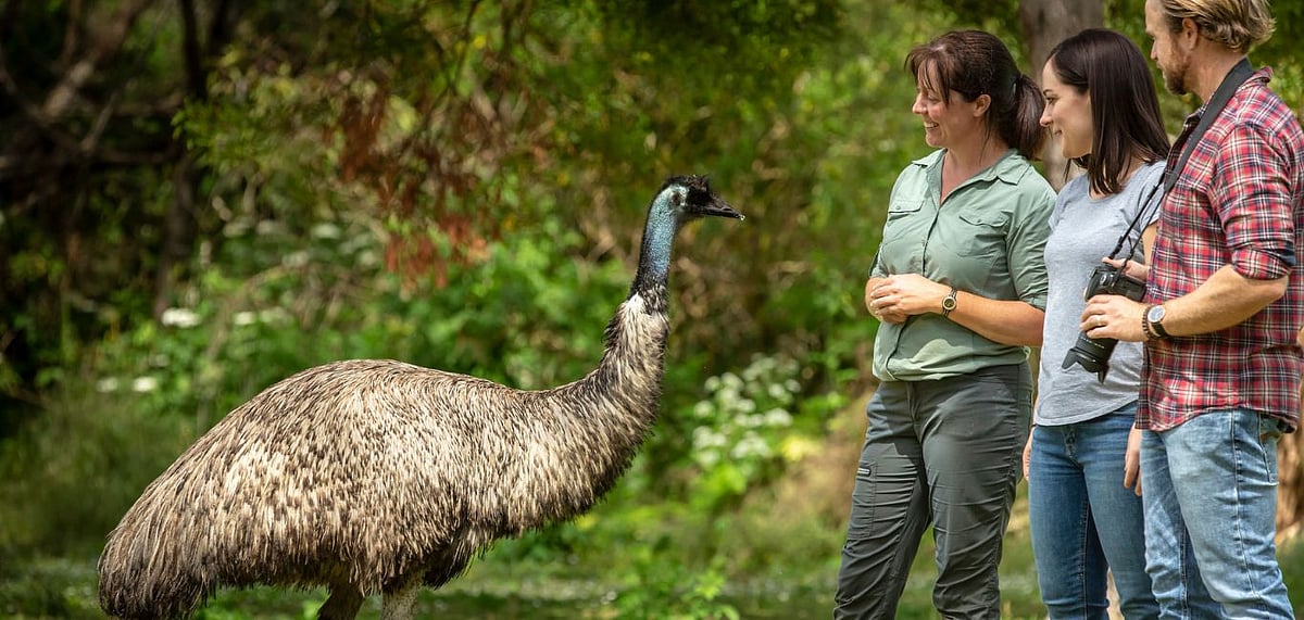 Tower Hill is a great way to immerse yourself in the local Aboriginal history
