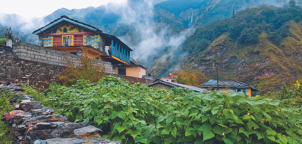 Look for local homestays while travelling