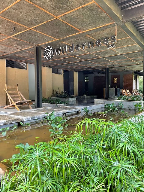 The Wilderness Spa offers rejuvenation in the wild
