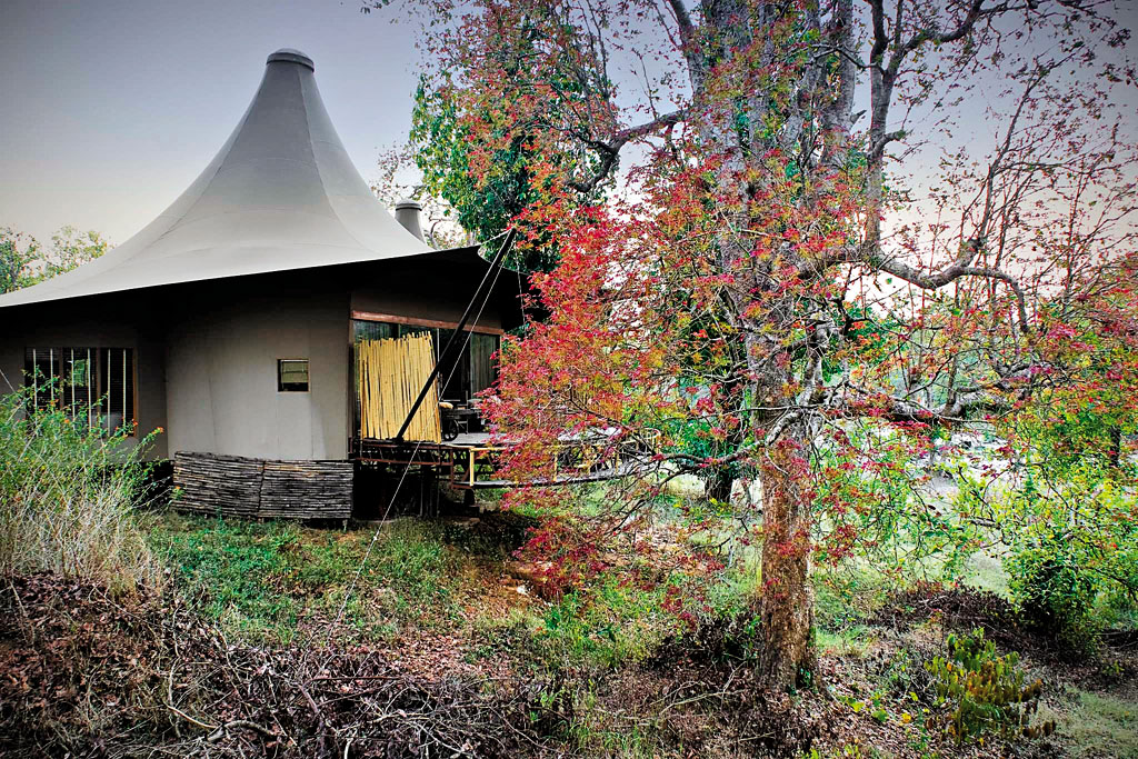 Go glamping at Banjaar Tola