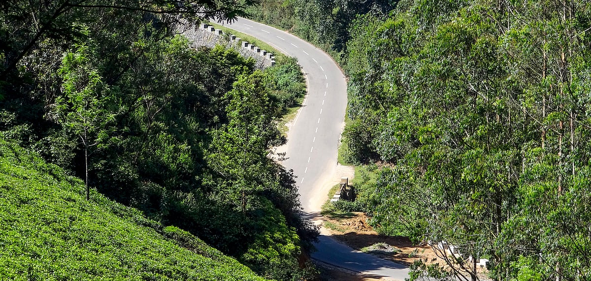 You have to take the scenic winding route through the Western Ghats to reach Coorg from Bangalore
