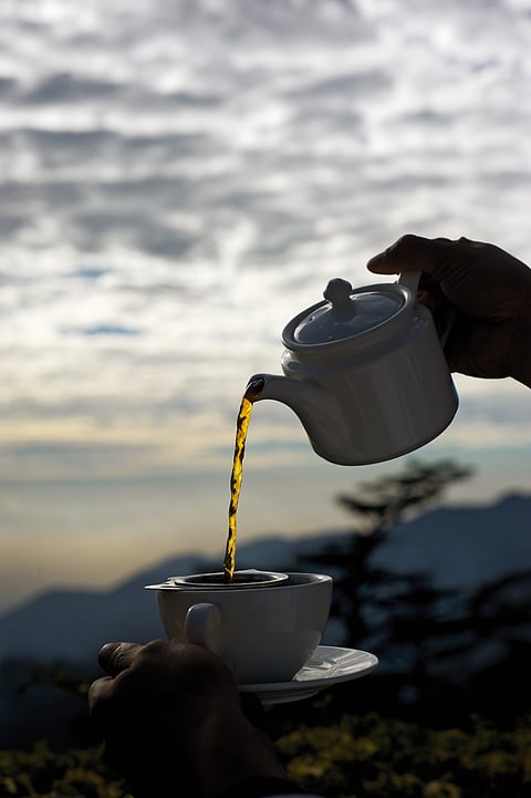 Tea time at the Deodar-fringed slopes of Landour