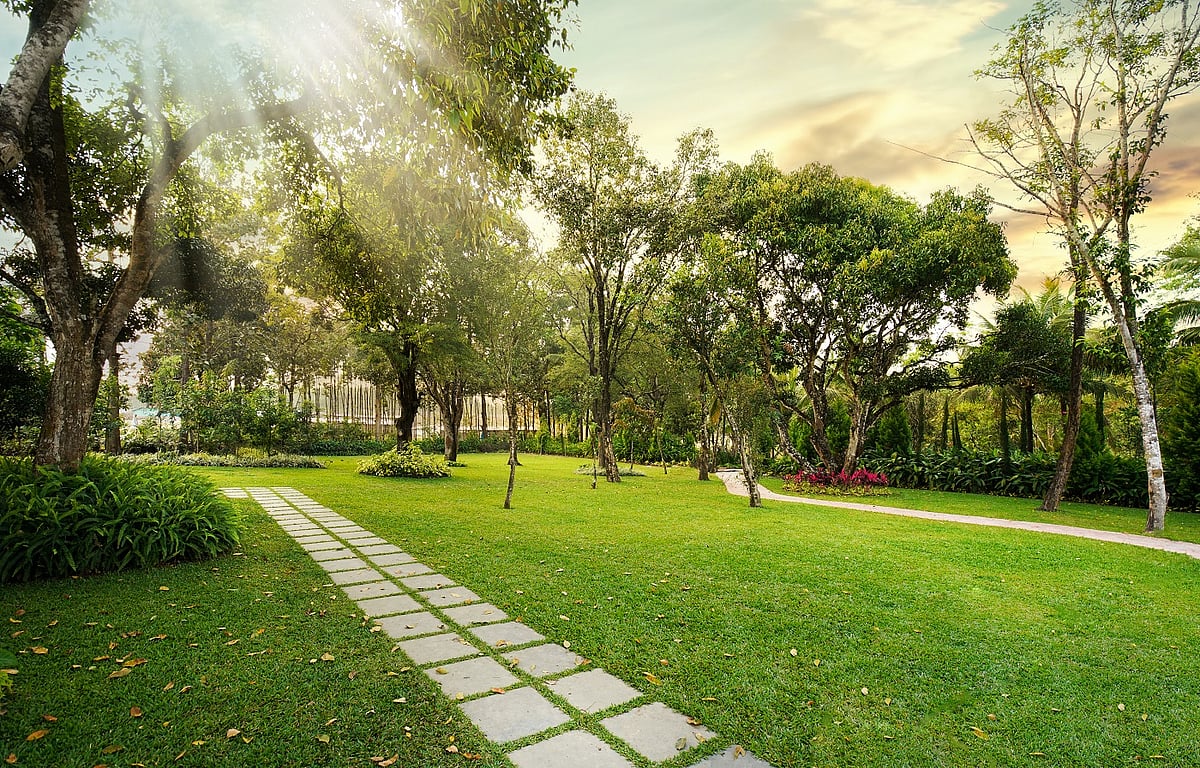 Greenery welcomes guests at Rosetta By Ferns