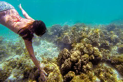 Go scuba diving in the crystal blue waters